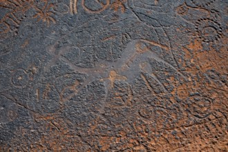 Detail, Depictions of animals and patterns on a rock slab, petroglyphs, rock engravings,