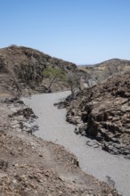 Dry river valley with basalt rocks, rock formation Organ Pipes, Damaraland, Kunene, Namibia