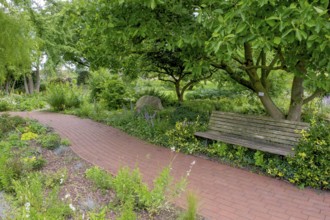 Path between perennial beds, garden bench under magnolia tree, district educational garden,