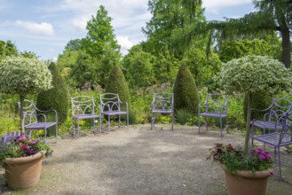 Purple garden chairs surrounded by green nature with trees and plants under a blue sky,
