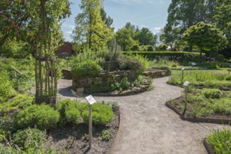 District educational garden, Burgsteinfurt, herb garden, Münsterland, North Rhine-Westphalia,