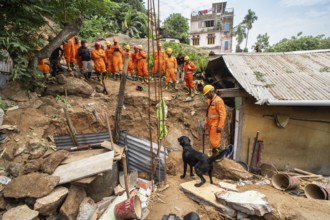Rescue operations by the National Disaster Response Force (NDRF) and police, aided by sniffer dogs,