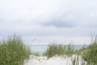 Bright sand dune with a view of the Baltic Sea, Prerow, Mecklenburg-Vorpommern, Germany