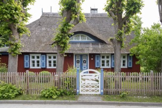 Picturesque thatched house with blue shutters, Wieck, Mecklenburg-Vorpommern, Germany
