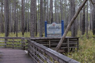 Kurt G. Wintermeyer Trail sign posted at the Weeks Bay Pitcher Plant Bog near Fairhope, Alabama,