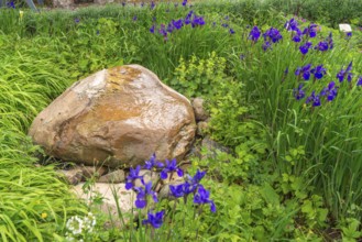 Church and Bible garden of St Crucis Church, Bad Sooden, Allendorf, Allendorf district, symbol for