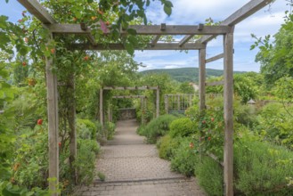 Church and Bible garden of St Crucis Church, Bad Sooden, Allendorf, Allendorf district, symbol of