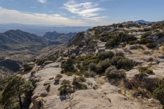 Windy Point Vista offers a view of Tucson from the Catalina Mountains along the Mt Lemmon Highway