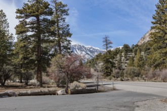 Snow covered Spring Mountains past entrance to Acastus and Fletcher Canyon trailheads along Kyle