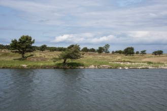 Quiet former emergency harbour with grassy shores and scattered trees under a cloudy sky, Prerow,