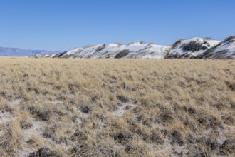 Gypsum dunefields at White Sands National Monument located within the Chihuahuan Desert and the