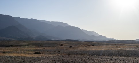 Harsh and dry landscape, Brandberg, Damaraland, Namibia