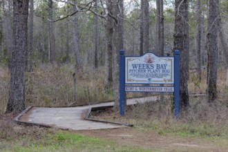 Kurt G. Wintermeyer Trail sign posted at the Weeks Bay Pitcher Plant Bog near Fairhope, Alabama,