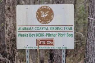 Alabama Coastal Birding Trail sign posted at the Weeks Bay Pitcher Plant Bog near Fairhope,
