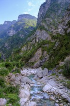 Gorge and river Mis, Val di Mis, Belluno, Veneto, Italy