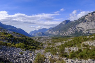 Rockfall area, Marocche di Dro biotope, near Dro, Sarca Valley, Trentino, Italy
