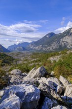 Rockfall area, Marocche di Dro biotope, near Dro, Sarca Valley, Trentino, Italy