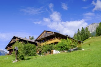 Old farmhouses in the hamlet of Kottern, Sappada, Plodn, Carnic Alps, Julian Friuli, Italy