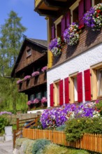 Old farmhouses in the Fontna district, Sappada, Plodn, Carnic Alps, Julian Friuli, Italy