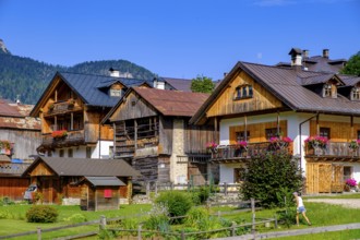 Farms, Palu district, Sappada, Plodn, Carnic Alps, Julian Friuli, Italy