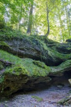 Dachshöhle geotope, Wackersberg, Tölzer Land, Upper Bavaria, Bavaria, Germany