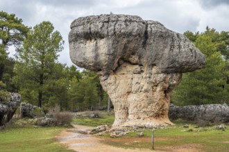 Ciudad encantada, area of rock formations, nature reserve, Cuenca region, Spain