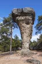 Rock El Tormo, Ciudad encantada, area of rock formations, nature reserve, Cuenca region, Spain