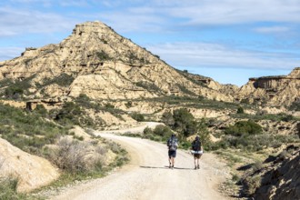 Hikers on gravel road Ruta Jubierre, desert, rock formations, Desierto de los Monegros, Spain