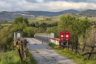 Cycle path Via Verde Del Aceite, cycle path on an old railroad line leading over a bridge, olive
