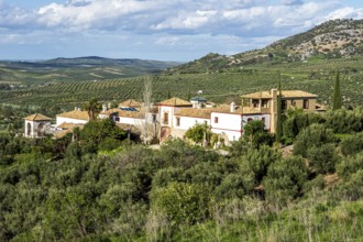 Large farm inmidst olive fields, Jaen region, near village Zuheros, Andalusia, Spain