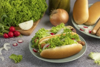 Hot dogs with lettuce, radish and onion on a plate surrounded by ingredients