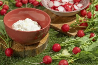 Red bowl with dip and sliced radishes on a green meadow