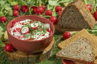 Bread next to a bowl of cream cheese, radishes and herbs on a green meadow