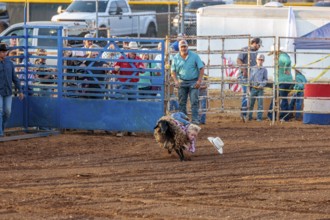 Young boy riding a sheep in a mutton busting event during the Hardin County Fair Rodeo in Savannah,