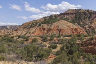 Layered rock formations at Palo Duro Canyon State Park near Amarillo, Texas