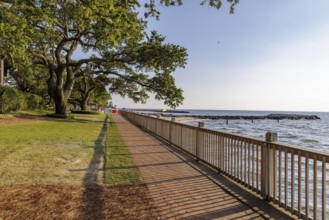 Walkway under Live Oak trees along the Gulf of Mexico coastline at Grand Hotel in Point Clear,