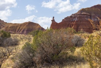 The Lighthouse rock hoodoo behind a field of grass and shrubs at Palo Duro Canyon State Park near