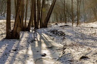 Snow-covered stream in the forest, illuminated by the sun's rays, The Dragon Gorge near Eisenach in