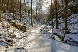 Snow-covered forest path with rays of sunshine and surrounding trees, The Dragon Gorge near