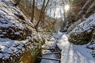 Snow-covered path in the forest with sunlight and trees, The Dragon Gorge near Eisenach in