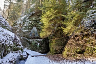 Snow-covered forest path leads through a shady gorge with rock-like formations and moss, The Dragon