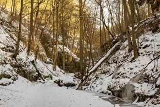 Frozen stream meanders through a snowy forest in warm sunset light, The Dragon Gorge near Eisenach