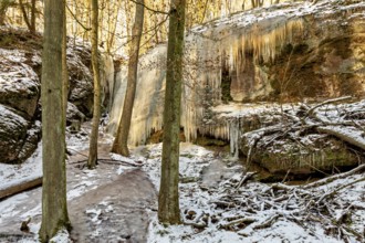 Frozen waterfall on a rock face in a snow-covered winter forest, surrounded by tall trees, The
