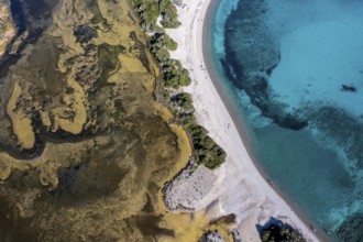 Aerial view, turquoise-coloured sea, sandy beach, Corsica, France
