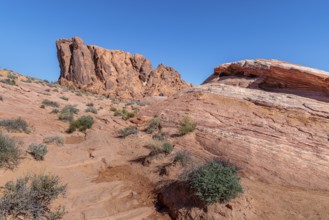 Layered rock formations along the Fire Wave Trail at Valley of Fire State Park near Overton, Nevada