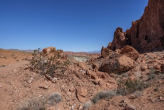 Sandstone rock formations along the Fire Wave Trail at Valley of Fire State Park near Overton,