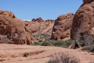 Sign at Fire Canyon Overlook Trailhead warns of hiking in hot weather at Valley of Fire State Park