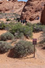 Sign at Fire Canyon Overlook Trailhead warns of hiking in hot weather at Valley of Fire State Park