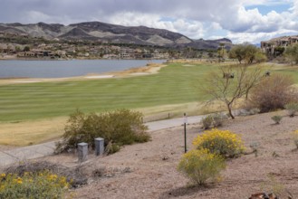 Colorful desert landscaping on a golf course along the shoreline of Las Vegas Wash at Lake Las