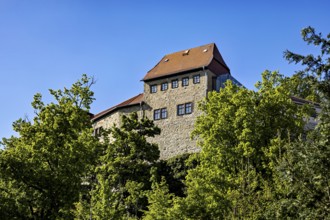 Part of the castle shows through trees, with massive stone walls under a clear sky, The Creuzburg